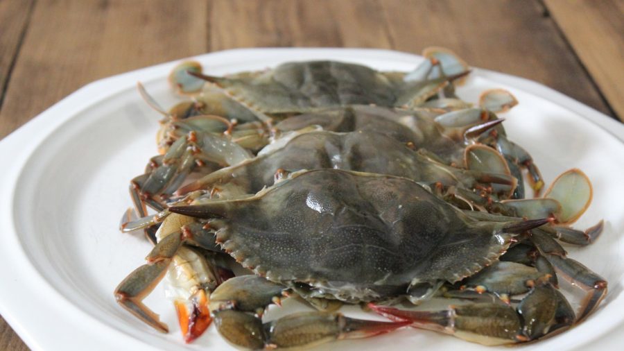 First of the season – Soft Shell Crabs at Cooper’s