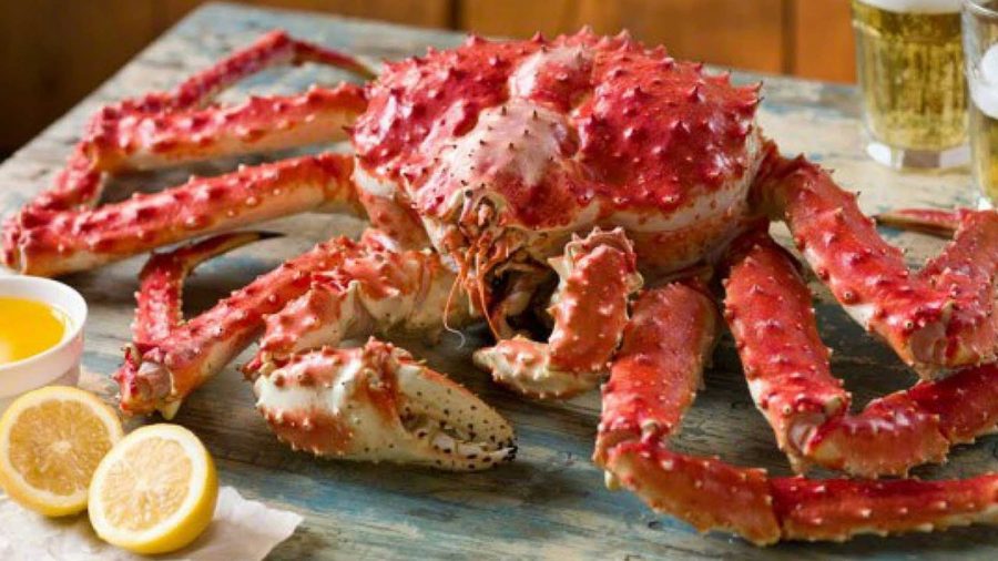 King Crab: Unleash the Royal Delight and Reap the Seafood Rewards at Cooper’s