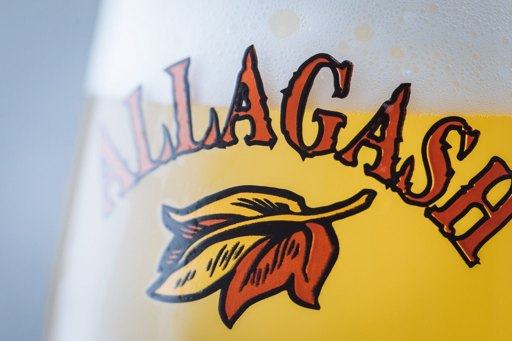 WHAT IS WHEAT BEER VS. WITBIER VS. HEFEWEIZEN Coopers Seafood House