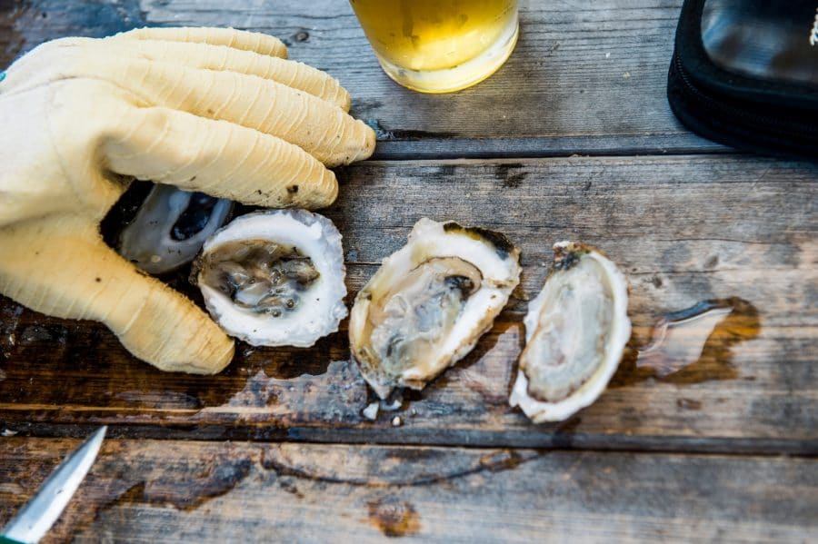 Why Oysters Could Be Good for Your Mental Health