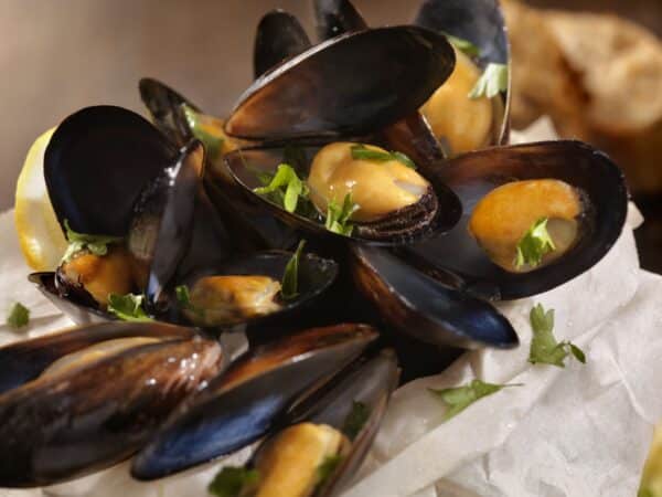 Mussels - Sams and Clams