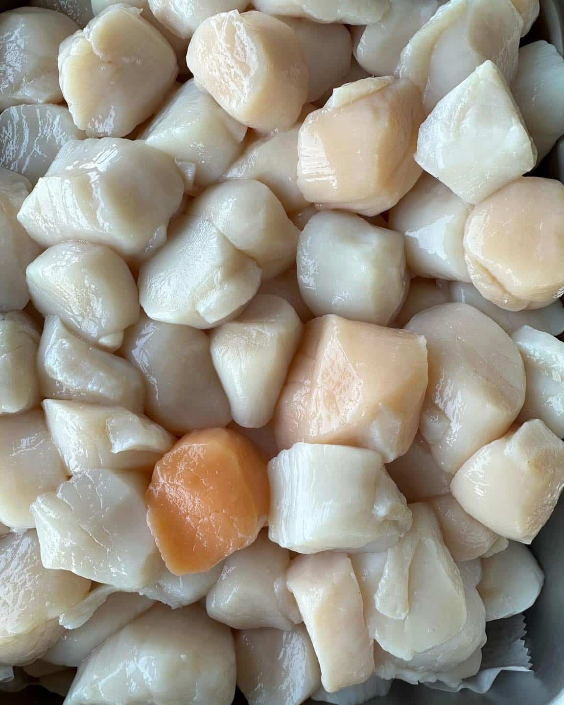 Do you know why some scallops are pink/orange? These are... Coopers