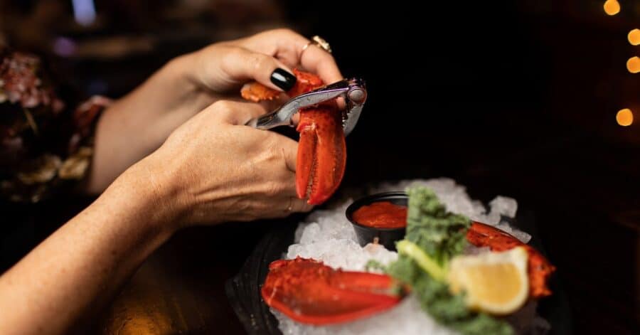 COOPER’S CHILLED MAINE LOBSTER CLAWS 🦞
Indulge in the ult…