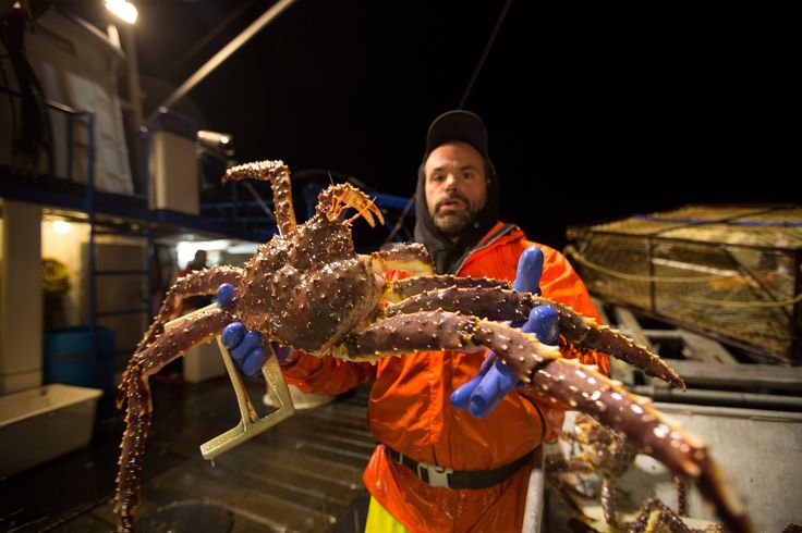 FEELING CRABBY? 😤🦀 WE’VE GOT THE FIX! 🎉🔧 👑🦀 1 lb Alaska…