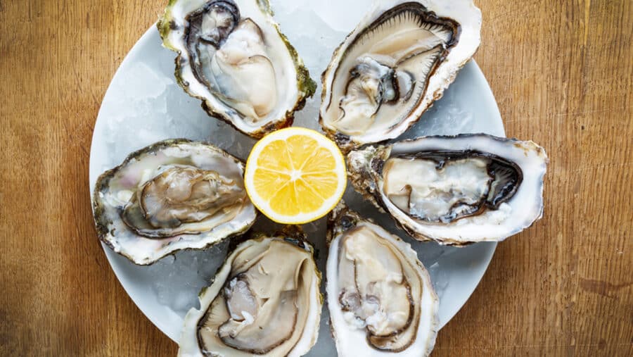 The Marvelous Health Benefits of Oysters at Cooper’s Seafood House