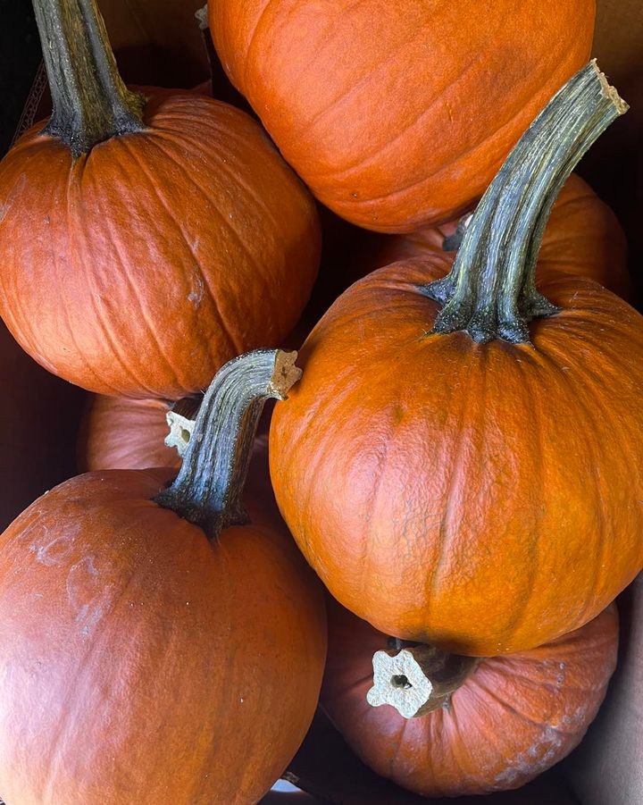 🍂 Harvest Time is Brewing Time! at Cooper’s Family Brewin…