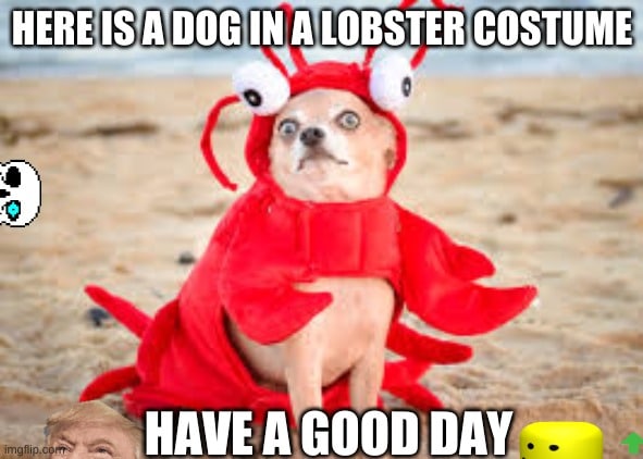 Make it a great day!

#coopersseafood #scranton #lobster …