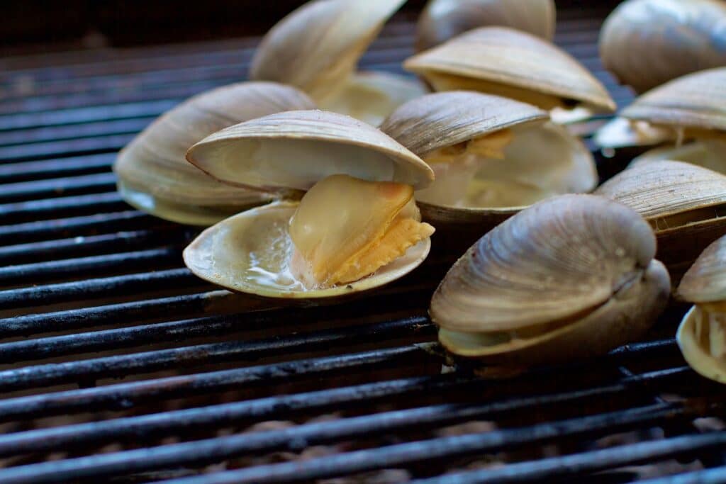 How to Cook or Steam Clams at Home Coopers Seafood House