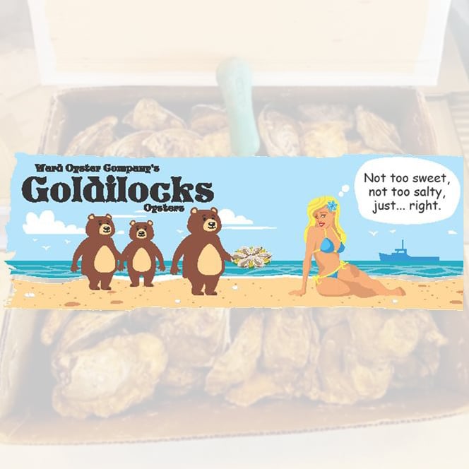 Goldilocks Oysters Are Here!
Serving up Goldilocks oys…