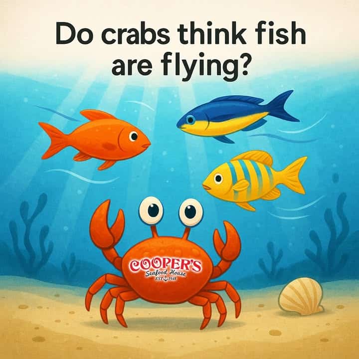 Ever wonder what crabs think when they look up? We’re bet…