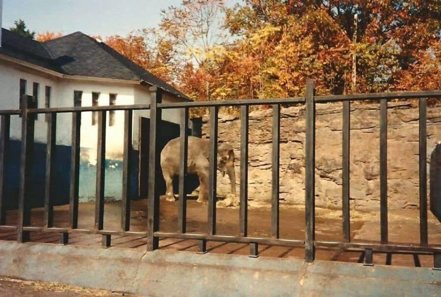 A blast from the past in Scranton history!

Here’s an ol…