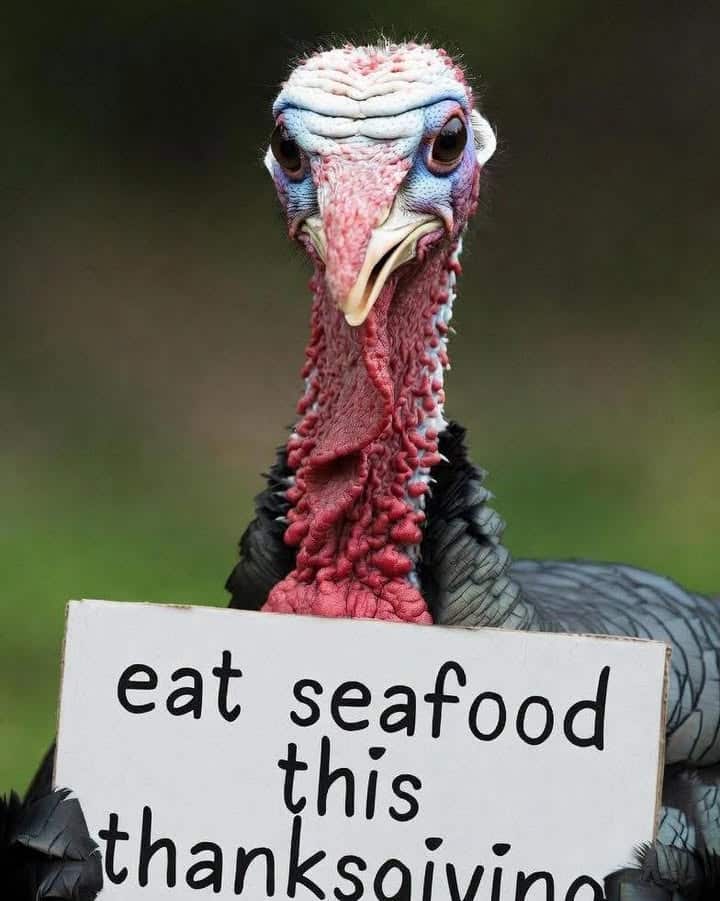 Seafood > Turkey.
Fact